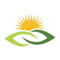 Eco Natural Sun leaf green nature symbol template Vector