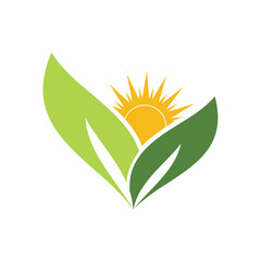 Fototapeta na wymiar Eco Natural Sun leaf green nature symbol template Vector