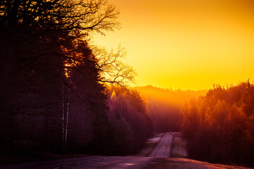 A beautiful landscape with a country road in misty morning during the sunrise. Morning scenery of a road in sprintime. Northern Europe.