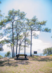 Obraz premium Pha Na Noi Cliff View Point on Phu Kradueng, Thailand