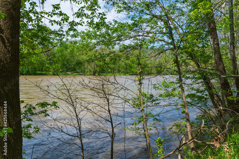 Wall mural a swollen spring shenandoah river rides up high on the banks of the river.