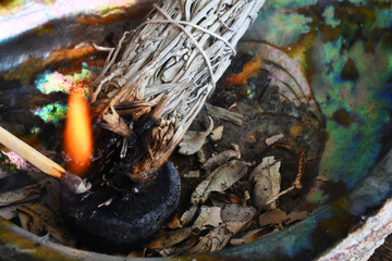 A close up image of a lit match lighting a white sage smudge bundle in an abalone shell.
