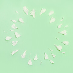 Round frame from white petals of peony flower on pastel green Mock up invitations or holiday greetings.