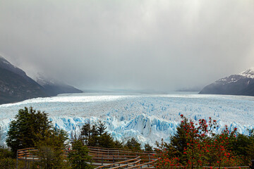 bosques e vegetação ao redor das passarelas de observação para chegar ao glaciar Perito Moreno com suas gigantescas paredes de gelo azul e ao fundo as montanhas em meio à neblina