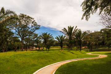 Fototapeta premium Palmeras y colinas