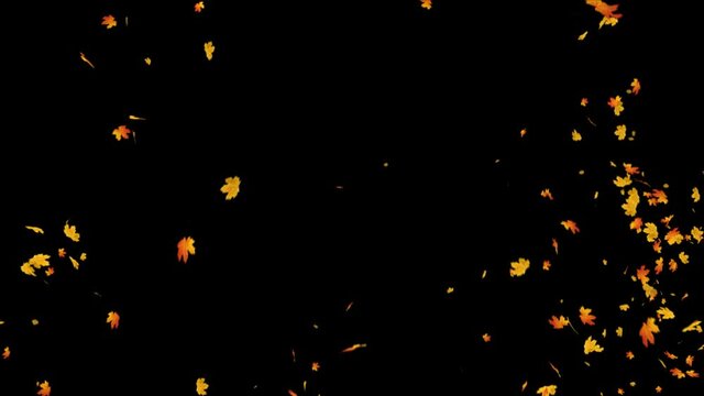 Explosion of autumn maple leaves realistic.3D rendering.Element footage. Easy to use and change color.