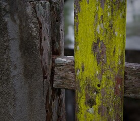 old wooden fence green moss