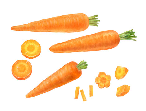 715 Best 飾り切り Images Stock Photos Vectors Adobe Stock