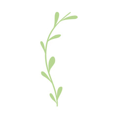 Obraz premium green leaves design