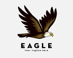 eagle falcon hawk bird fly fast illustration logo symbol inspiration