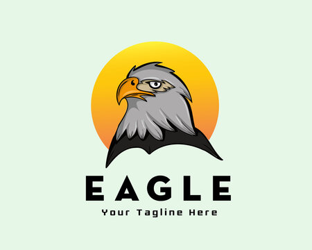 elegant head falcon eagle bird sun background logo icon symbol illustration inspiration