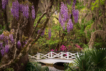 Romantic garden with bridge