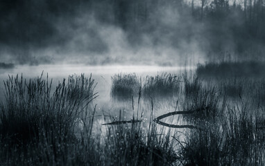 Dramatic, artistic scenery of a sunrise over flooded wetlands in Northern Europe. Springtime swamp...