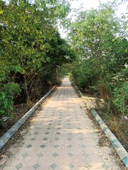 path in the park