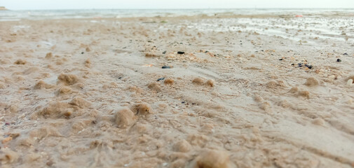 footprints on the sand