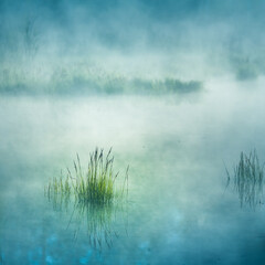 A beautiful flooded wetlands during the sunrise in spring. Fress, green grass growing in the water....