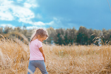 Naklejka na ściany i meble Harvest: ripe wheat grows in the field. The golden grain and the children are walking. girls in the grass