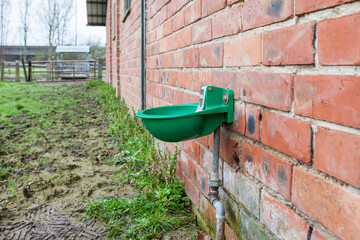 Drinking trough for cattle