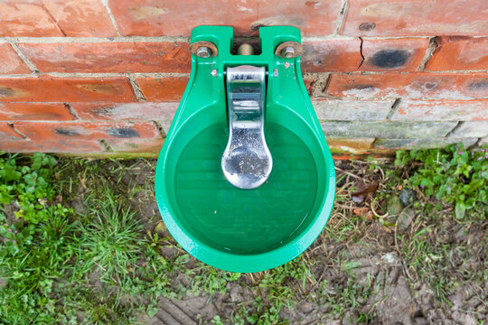 Drinking Trough For Cattle