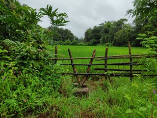 Rural fence for green farm