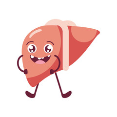 cute liver organ