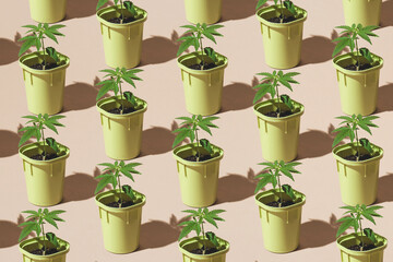 Trendy patter of Young cannabis plants in pots with sun shadows, Medical marijuana plantation,...