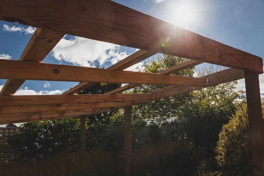 Under Construction Garden Pergola With Wooden Structure In Sunny Backyard Surrounded By Tropical Plants