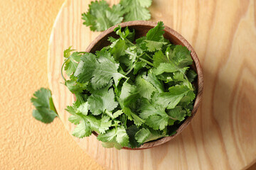Bowl with fresh cilantro on color background, closeup
