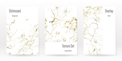 Fototapeta na wymiar Elegant Gold Texture Set. Marble Business Card.