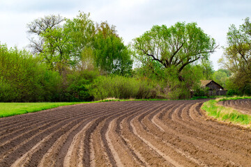 View of freshly plowed field in spring. Farmland. A close-up of furrows in a freshly plowed field....