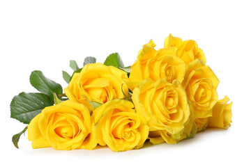 Fresh yellow roses on white background