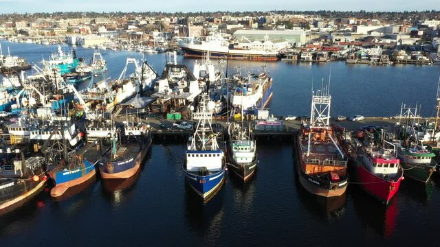 Drone footage of Fishermen's Terminal at Salmon Bay near Ballard, Seattle, Puget Sound with fishing boats ships and yachts in the background