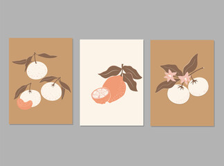 Modern aesthetic posters  in pastel colors with abstract fruits. lemon and tangerine, orange.  Vector design for posters, cards, packaging and more