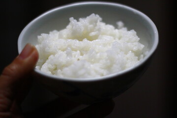 白いごはん