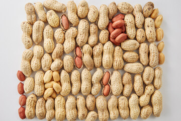 ピーナッツ　おつまみ　殻付きピーナッツ　落花生　千葉半立