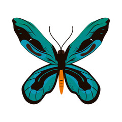 Fototapeta premium beautiful butterfly illustration