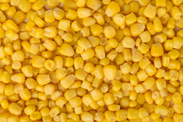 Sweet canned corn texture or background.