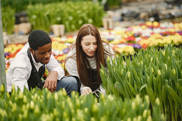 Guy and girl gardeners take care of plants in a greenhouse