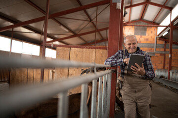 Fototapeta na wymiar Portrait of senior farmer using tablet computer and observing domestic animals in farmhouse.