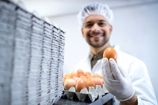 Food factory worker standing by industrial eggs packaging machine and holding an egg.