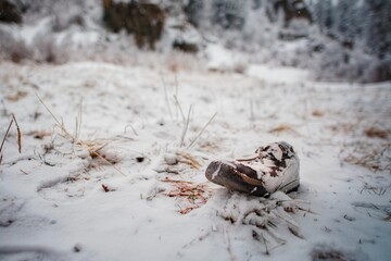 forgotten boot of sneakers in the forest under a layer of snow in the mountains in spring