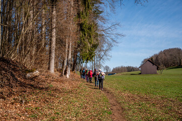 Fototapeta premium Vaud Canton, Switzerland : Group of hiking people walking by a barn in a green field next to a forest and hill.