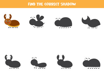 Find the correct shadow of cute stag bug. Logical puzzle for kids.