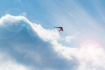 Lonely flying wing in the sky