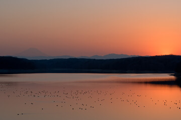 狭山湖の夕陽