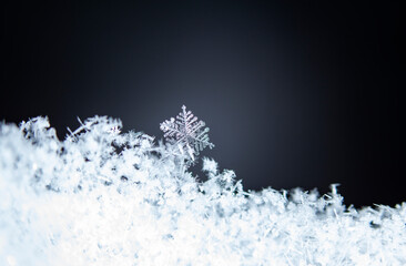 winter photo of snowflakes in the snow