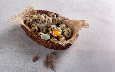 Quail eggs lie on a jute cloth in a beautiful wooden dish. Natural bird feathers are scattered around. In the center is a broken egg with the yolk up.