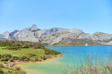 Green meadow in the lack of the rocky mountain with the forest blooming in spring and turquoise blue water on a clear day