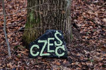 Napis cześć na leśnym kamieniu