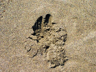 砂遊び